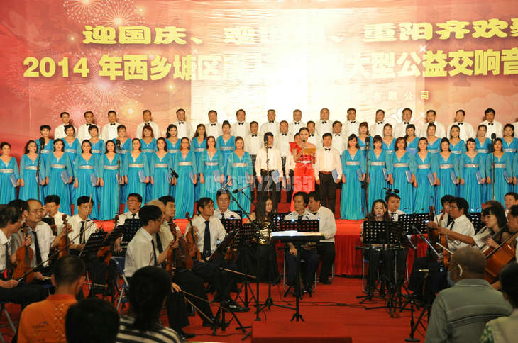 2014西乡塘区唐人文化园大型公益交响音乐晚会